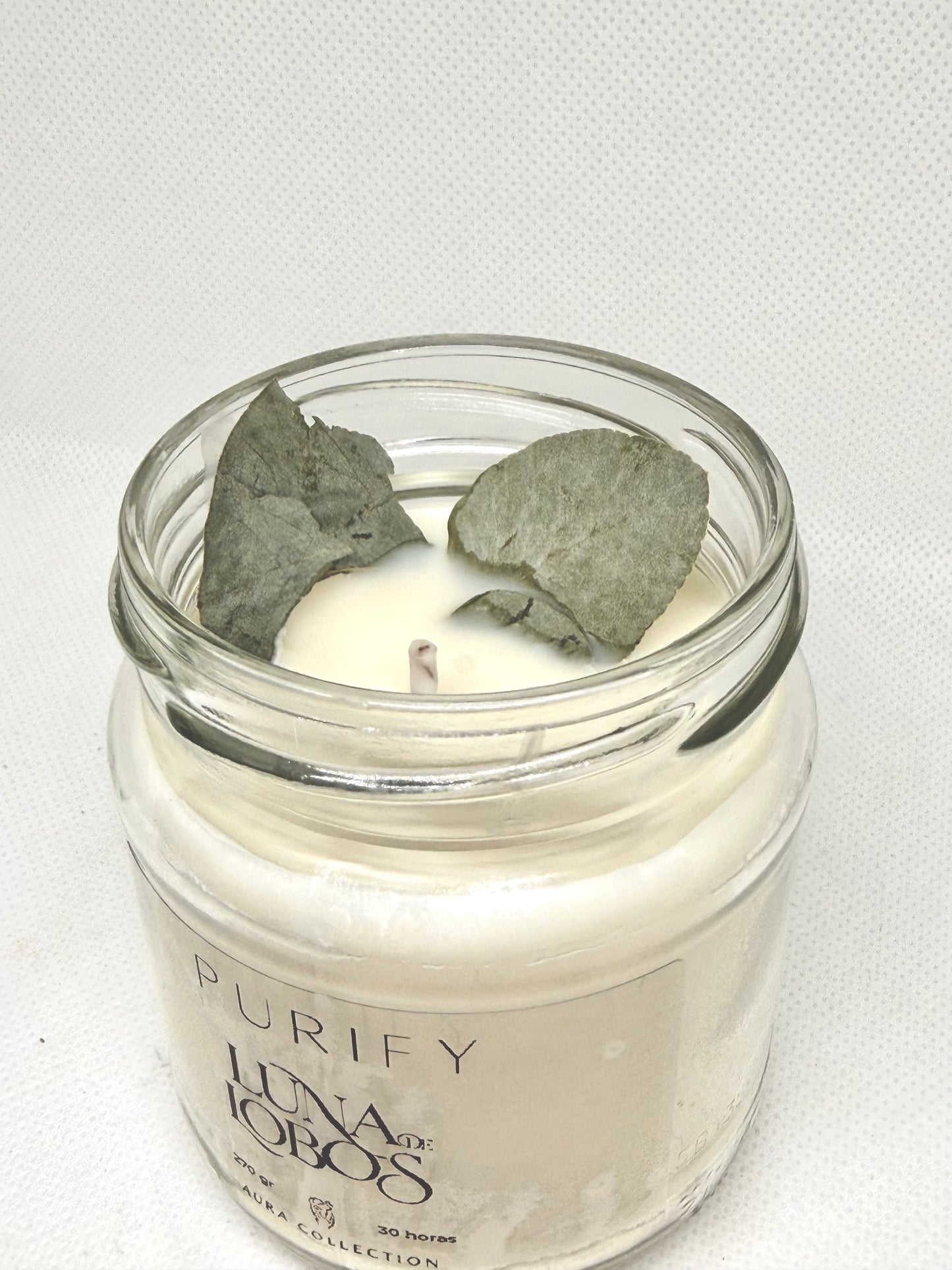 Purify - Luna de Lobos