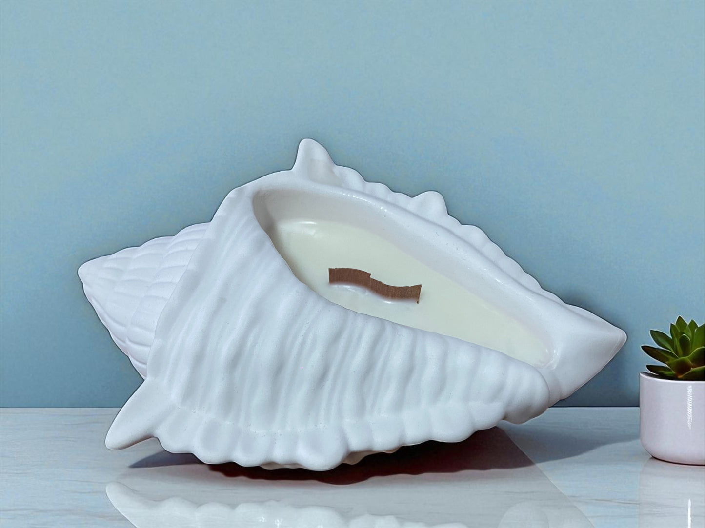 Vela caracola de yeso blanca