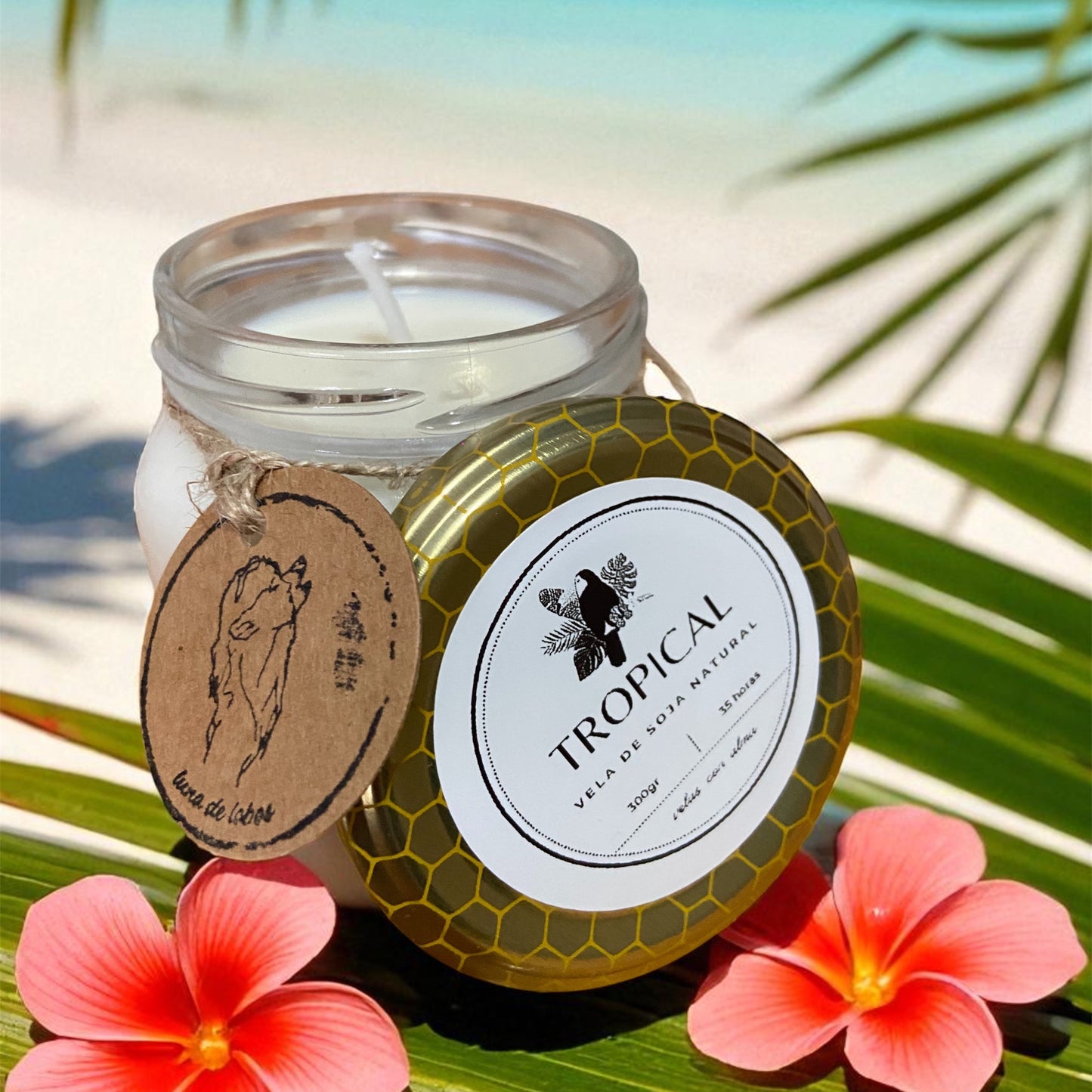 Vela de soja Tropical