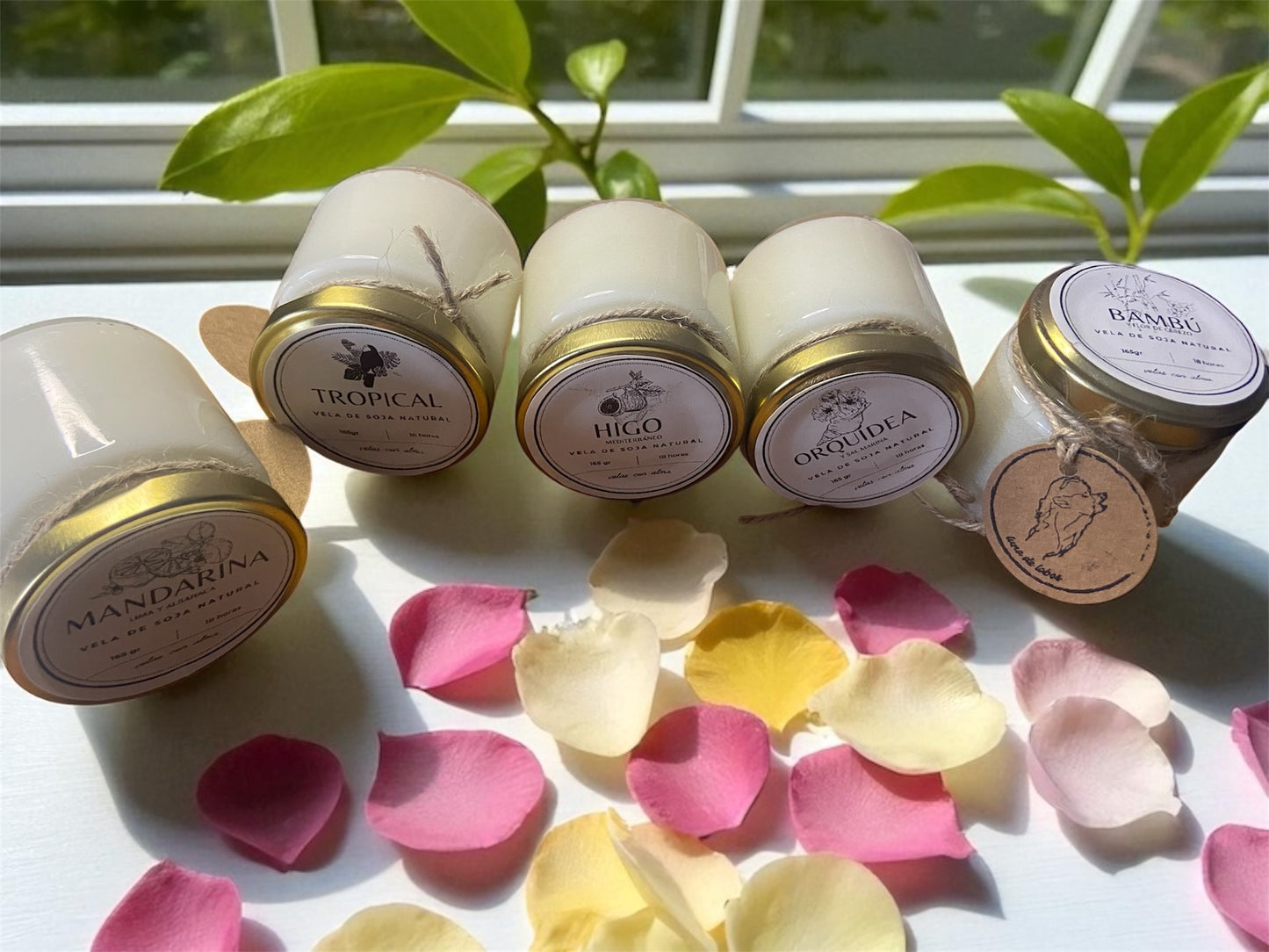 Pack 5 velas de soja Summer Vibes - Colección verano 2025