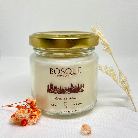 Vela Bosque Encantado