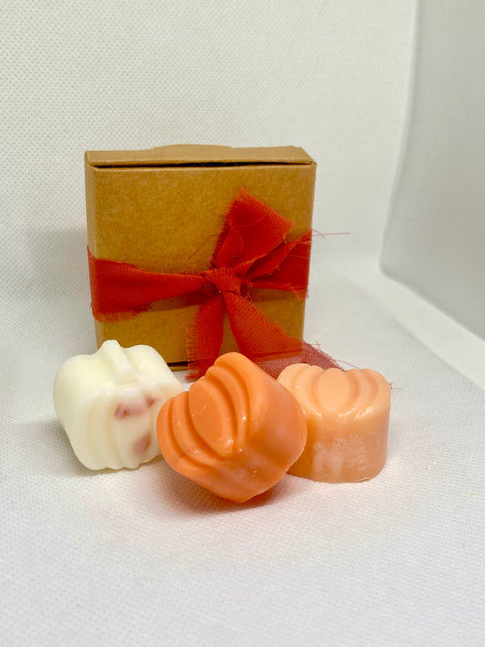 Pack wax melt Mini Calabazas