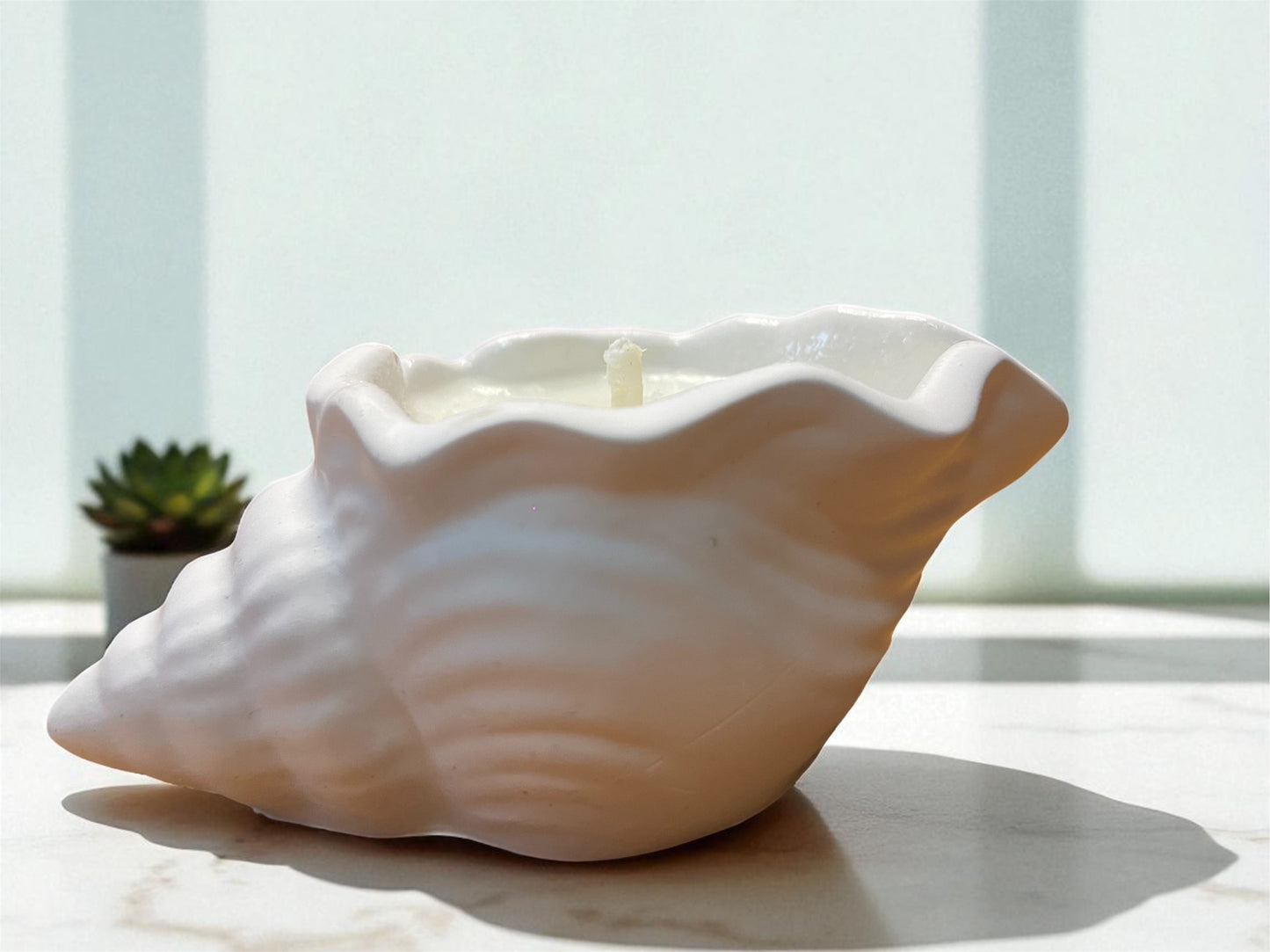Vela Caracola de yeso blanca – Aroma y decoración veraniega