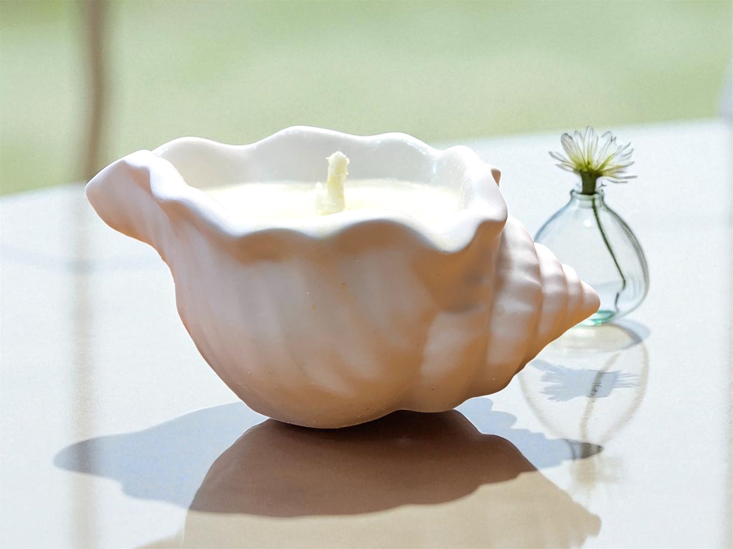 Vela Caracola de yeso blanca – Aroma y decoración veraniega