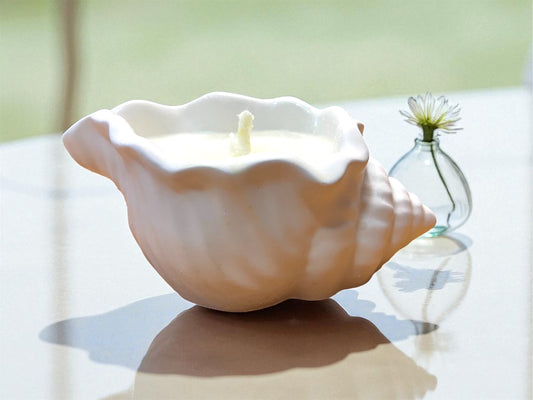 Vela Caracola de yeso blanca – Aroma y decoración veraniega