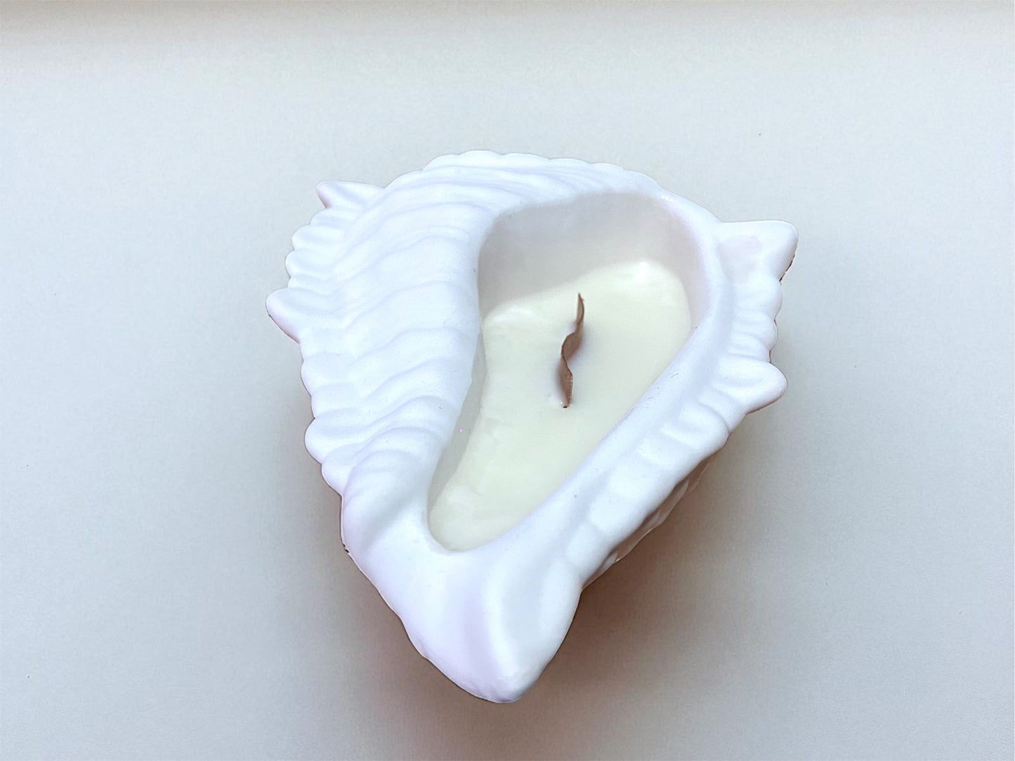 Vela caracola de yeso blanca