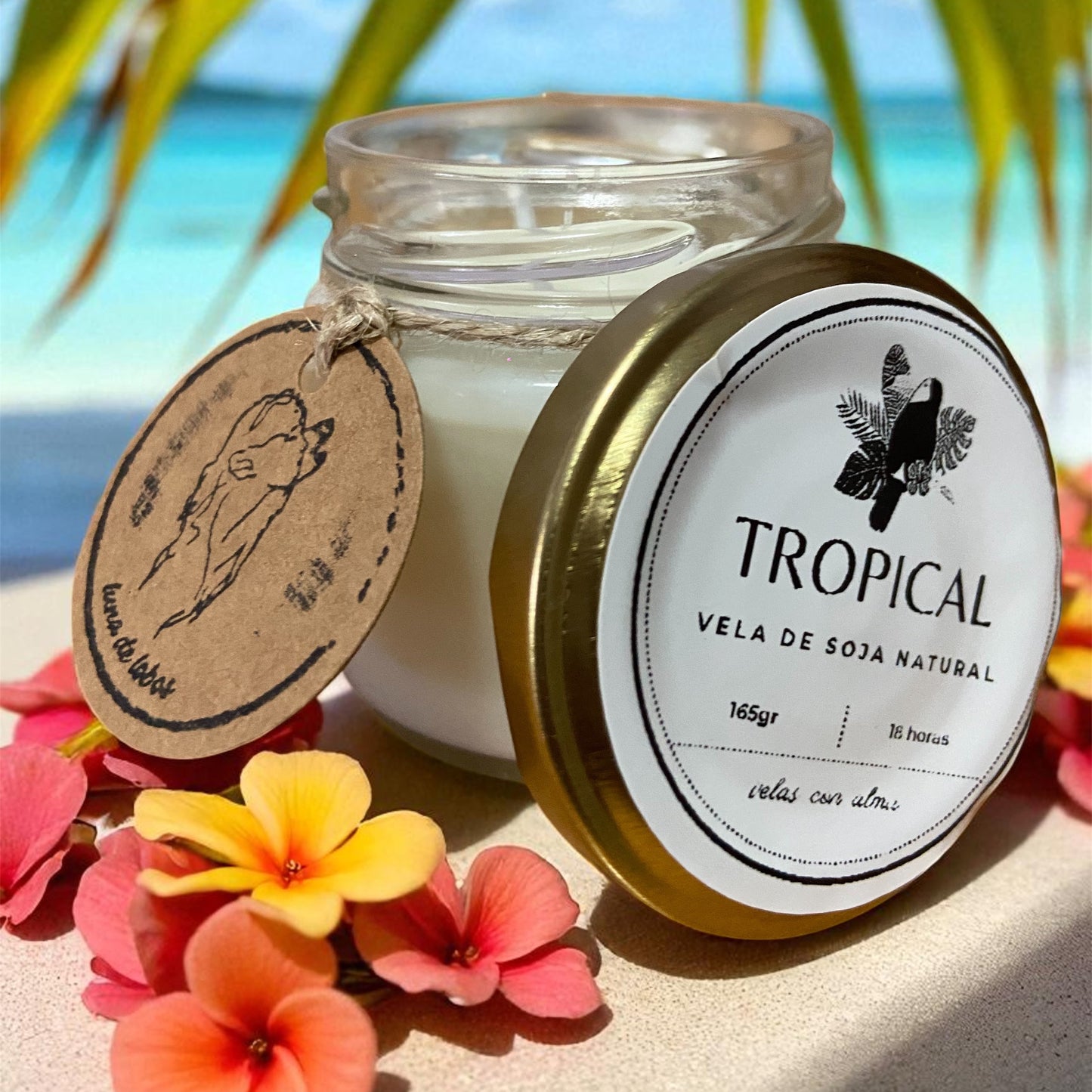 Vela de soja Tropical