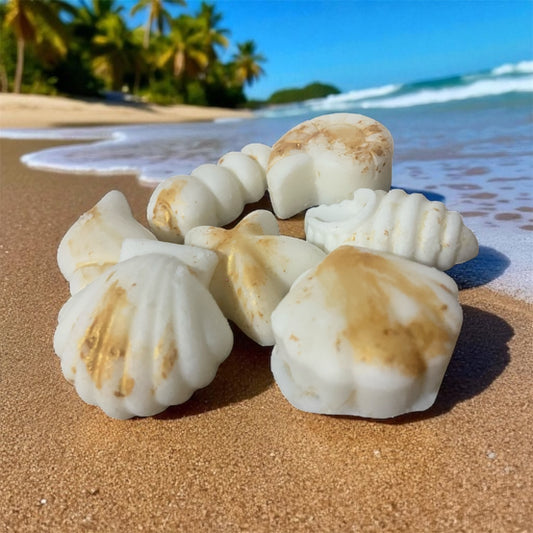 Wax melts marinos – Formas de conchas con fragancias de verano 30gr