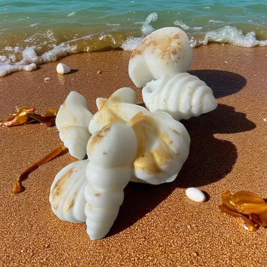 Wax melts marinos – Formas de conchas con fragancias de verano 30gr