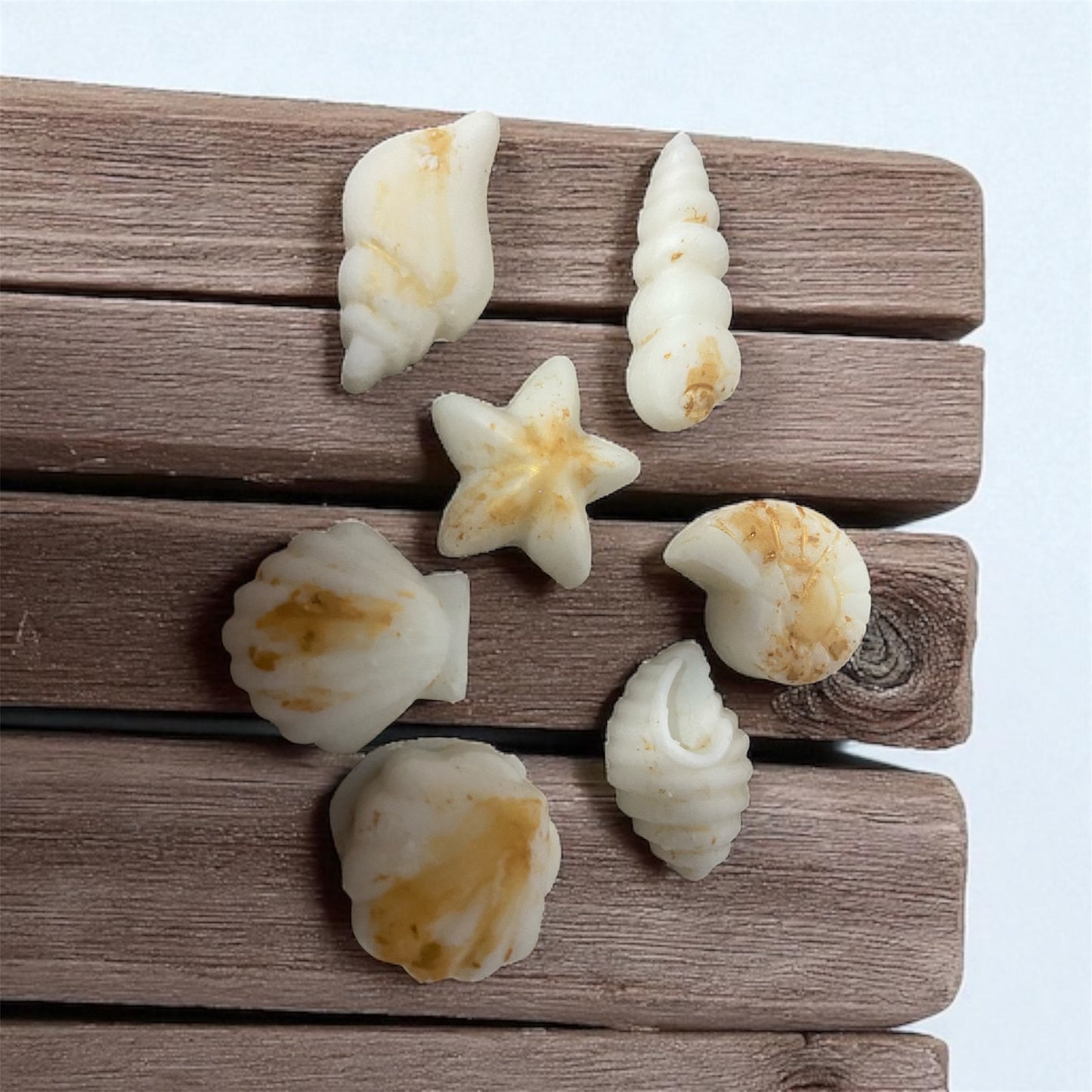 Wax melts marinos – Formas de conchas con fragancias de verano 30gr