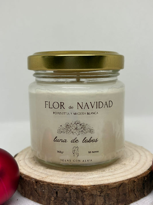 Flor de navidad - Luna de Lobos